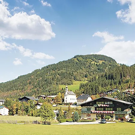 Gemuetliche Appartement Flachau